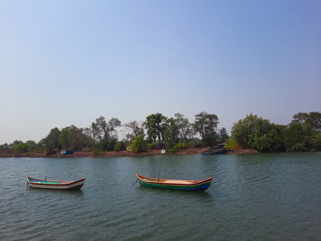 rowing boat